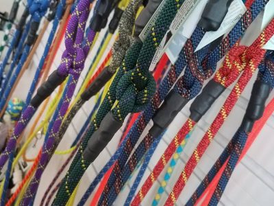 a display of pet leashes